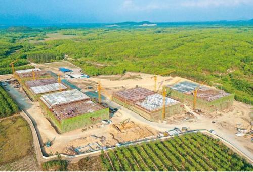 罗牛山儋州乐满20万头生态养殖基地已完成60％